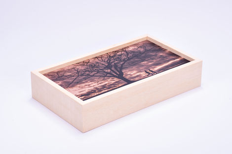 Wood Case1